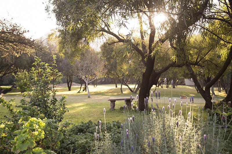 Nehema Manor Βίλα Schoemanville Εξωτερικό φωτογραφία
